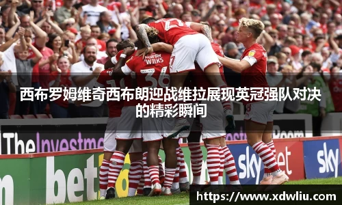 西布罗姆维奇西布朗迎战维拉展现英冠强队对决的精彩瞬间
